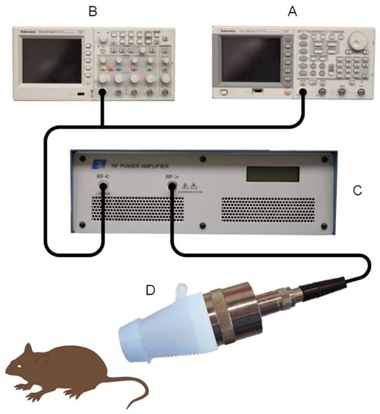 Nanotheranostics Image