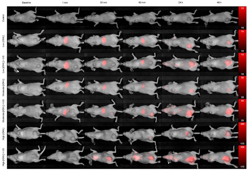 Nanotheranostics Image