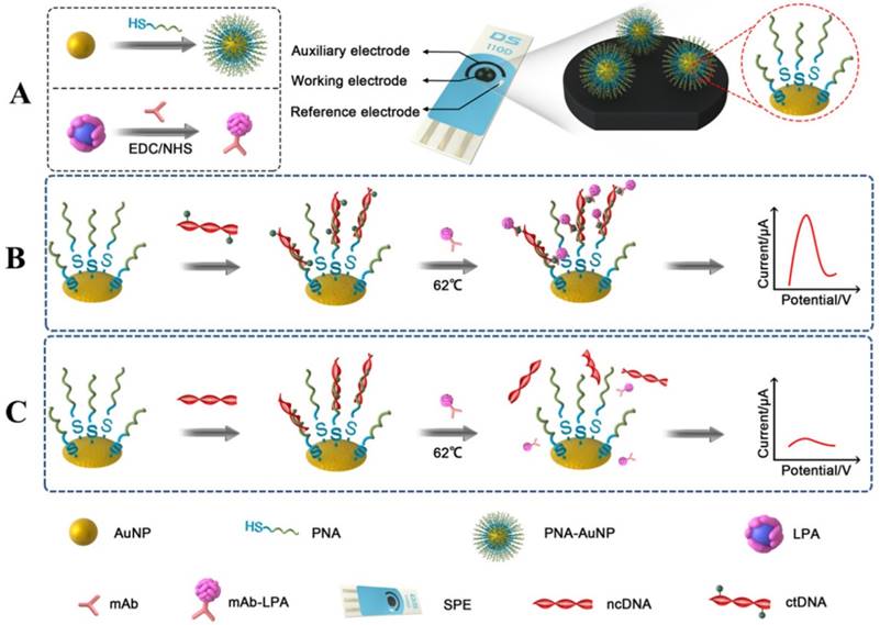 Nanotheranostics Image