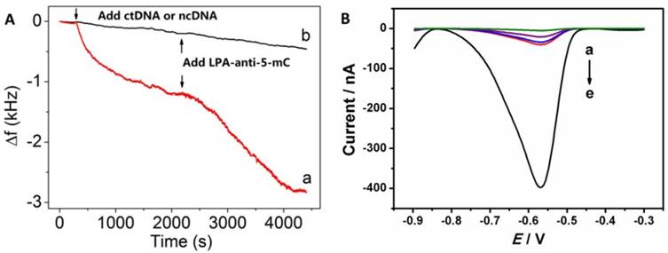 Nanotheranostics Image