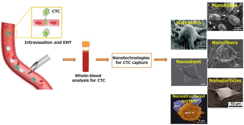 Nanotheranostics Image