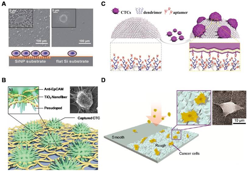 Nanotheranostics Image