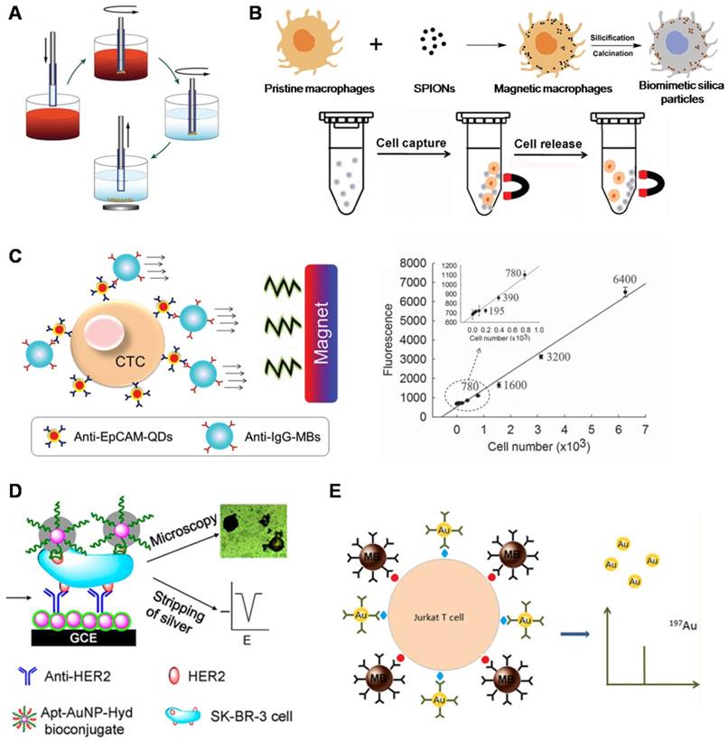 Nanotheranostics Image