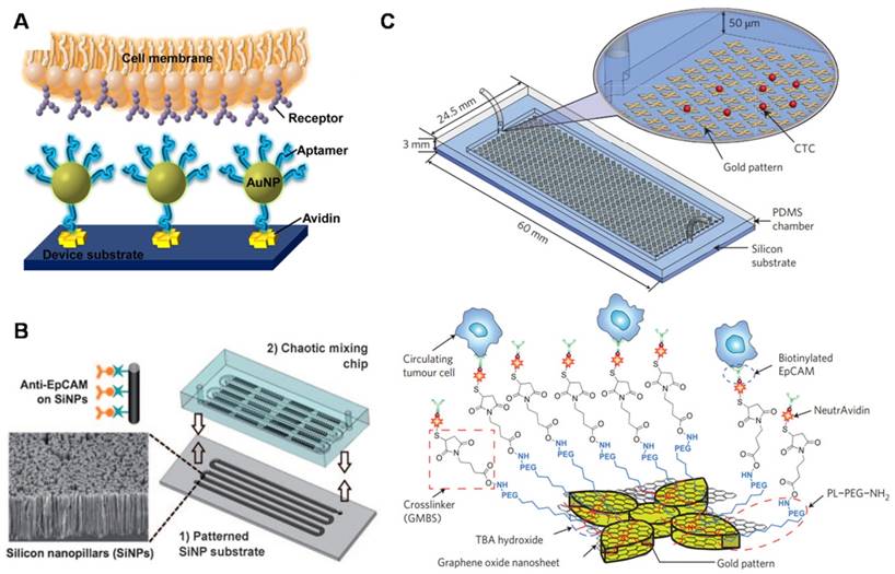 Nanotheranostics Image