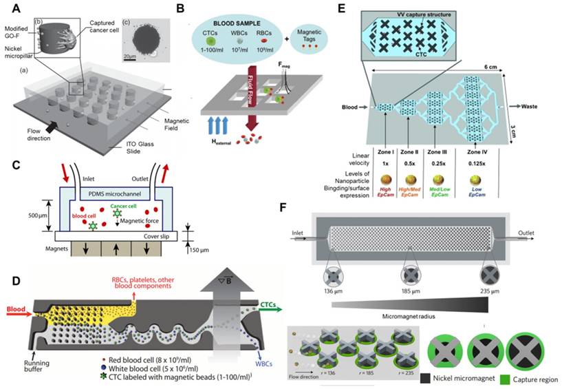 Nanotheranostics Image