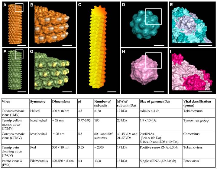 Nanotheranostics Image