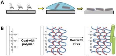 Nanotheranostics Image