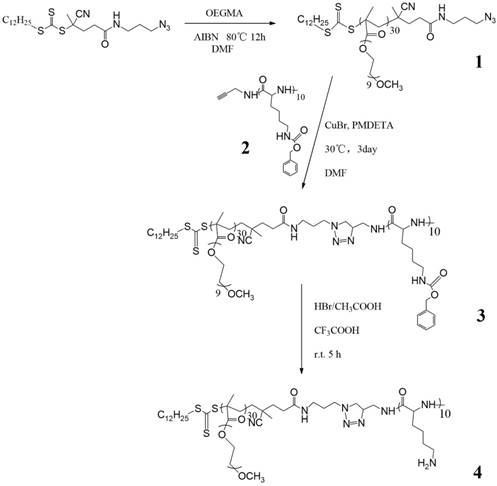 Nanotheranostics Image