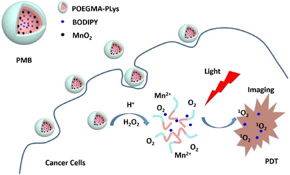 Nanotheranostics Image