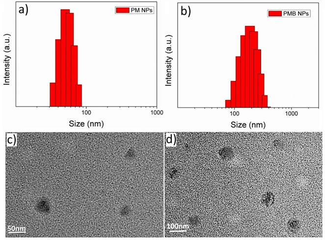 Nanotheranostics Image