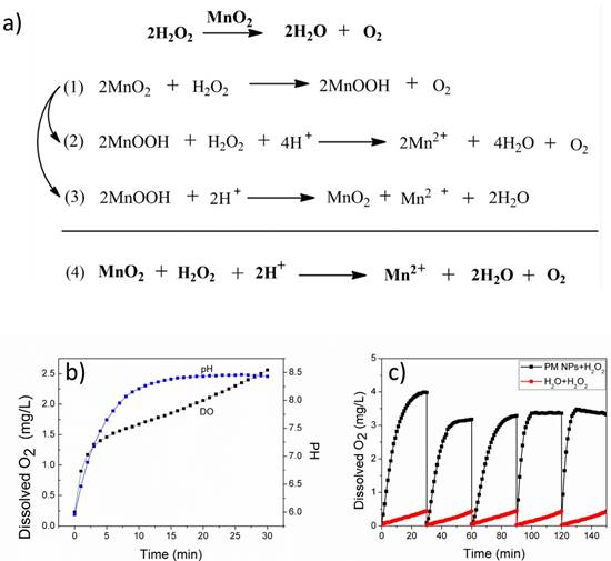 Nanotheranostics Image