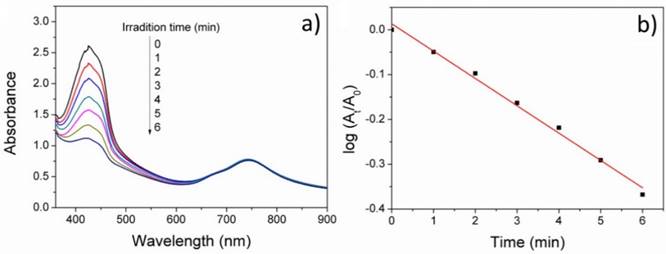 Nanotheranostics Image