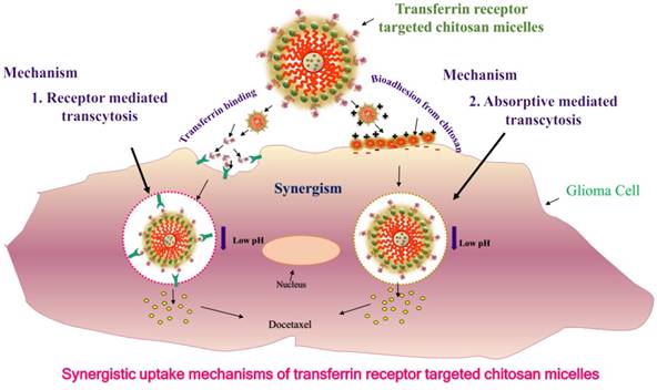 Nanotheranostics Image