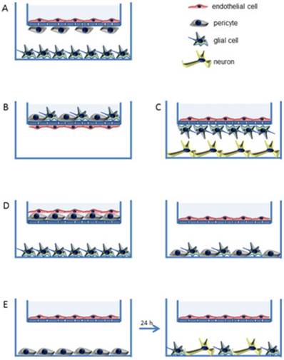 Nanotheranostics Image