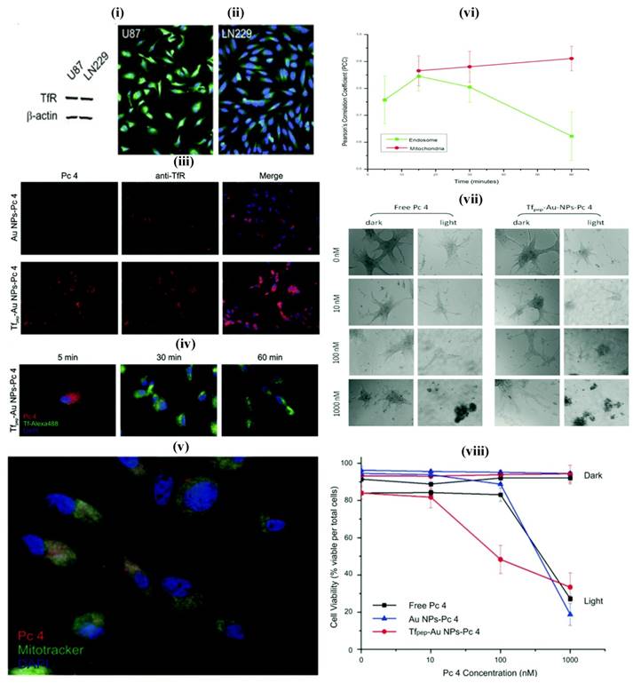 Nanotheranostics Image