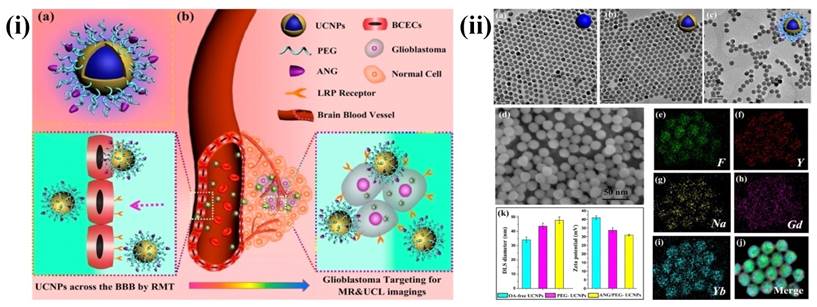 Nanotheranostics Image