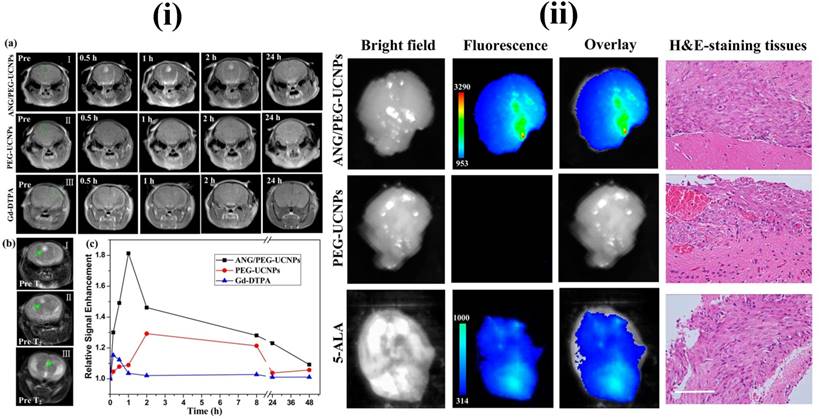 Nanotheranostics Image