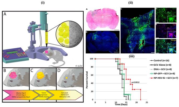 Nanotheranostics Image