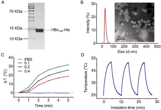 Nanotheranostics Image