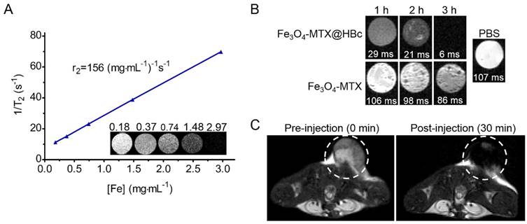 Nanotheranostics Image