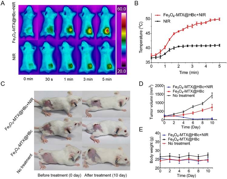 Nanotheranostics Image