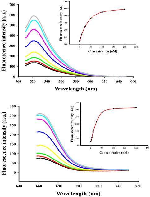 Nanotheranostics Image