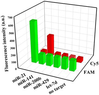 Nanotheranostics Image