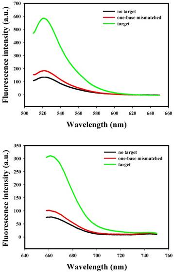 Nanotheranostics Image