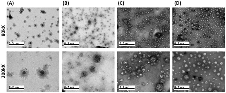 Nanotheranostics Image