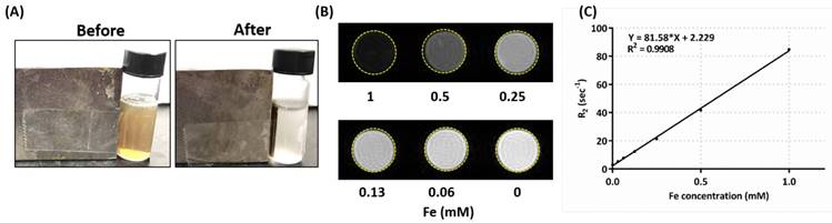 Nanotheranostics Image