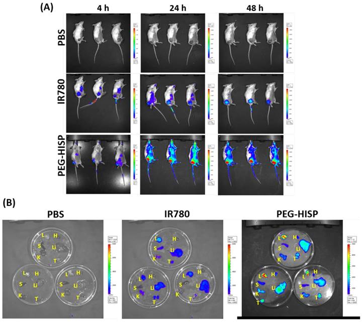 Nanotheranostics Image