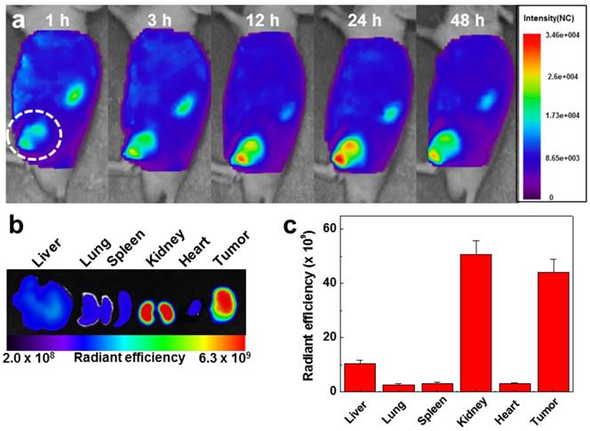 Nanotheranostics Image