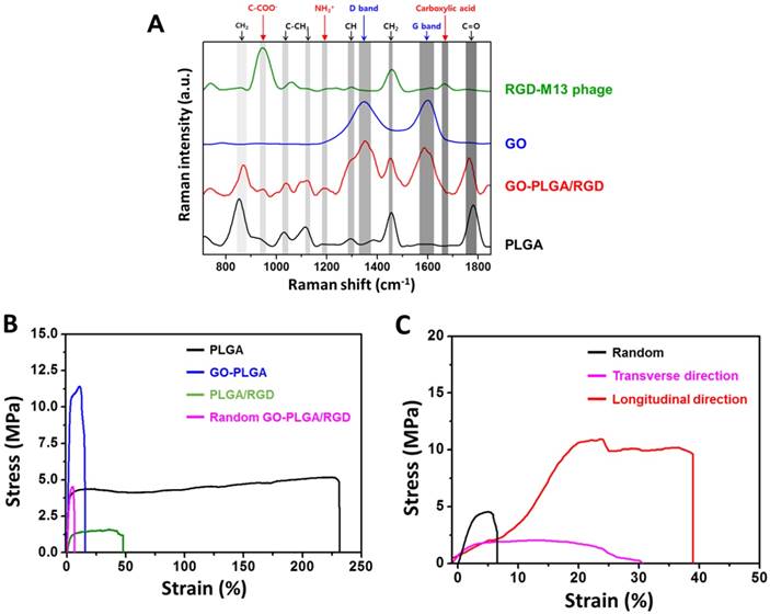 Nanotheranostics Image