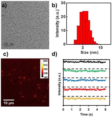 Nanotheranostics Image