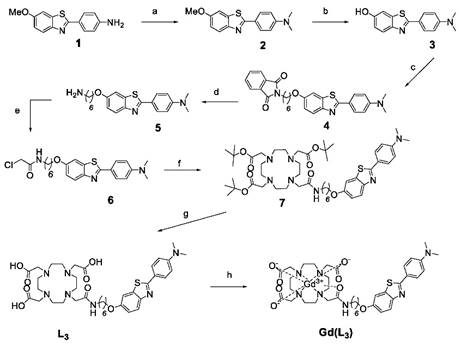 Nanotheranostics Image