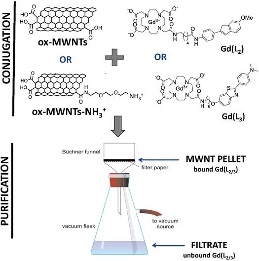 Nanotheranostics Image