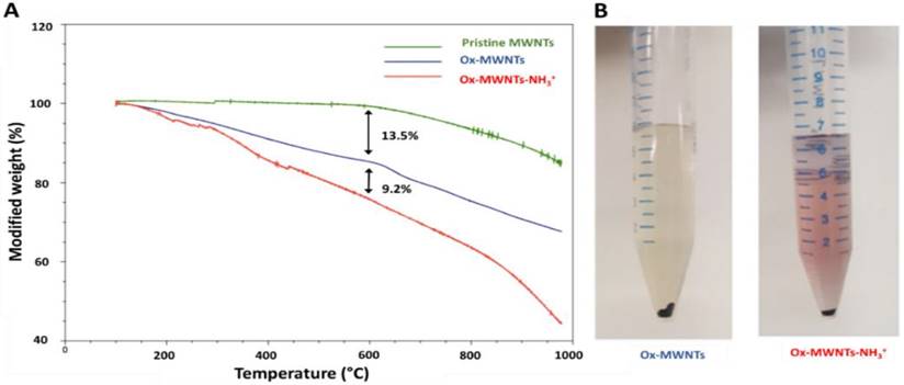 Nanotheranostics Image