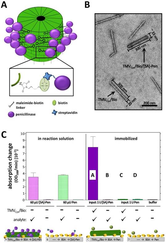 Nanotheranostics Image