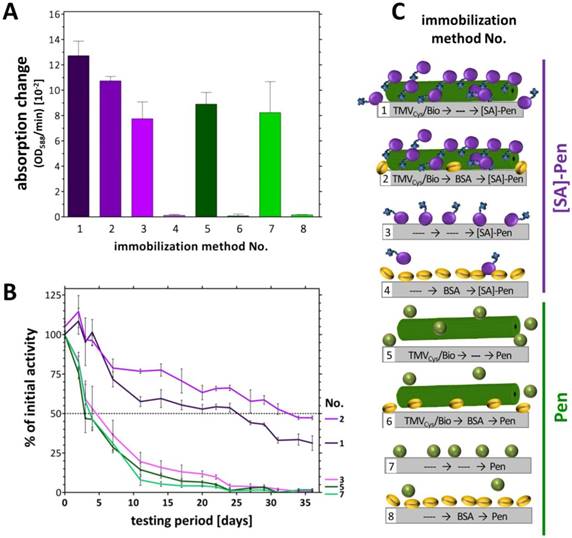 Nanotheranostics Image