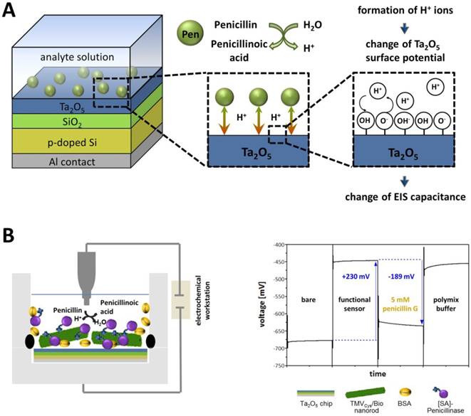 Nanotheranostics Image