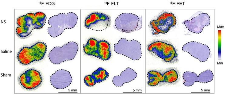 Nanotheranostics Image