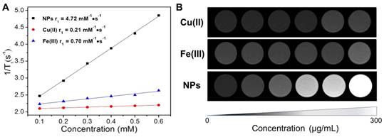 Nanotheranostics Image