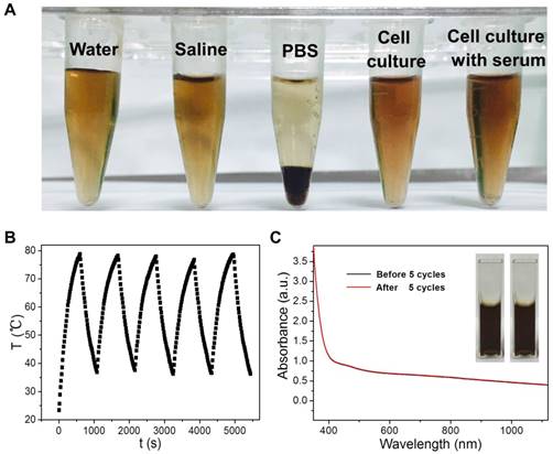 Nanotheranostics Image