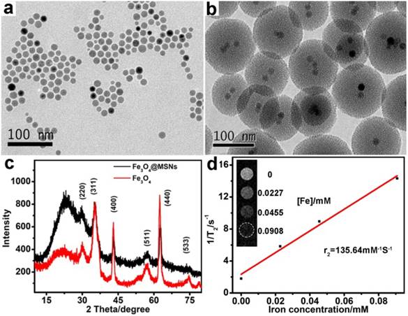 Nanotheranostics Image