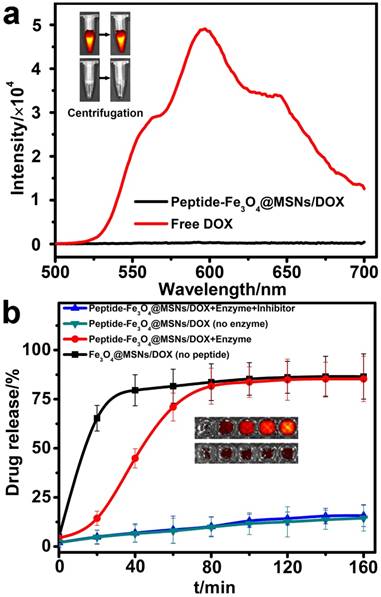 Nanotheranostics Image