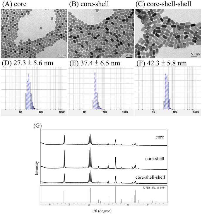 Nanotheranostics Image