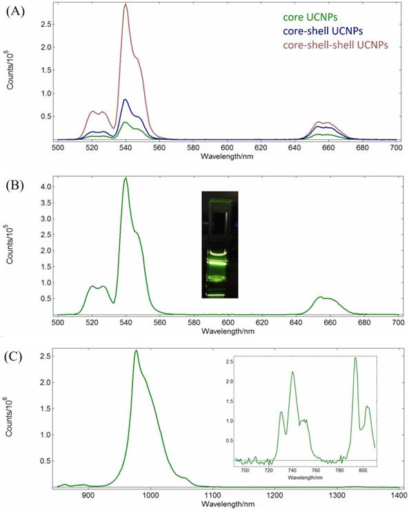 Nanotheranostics Image