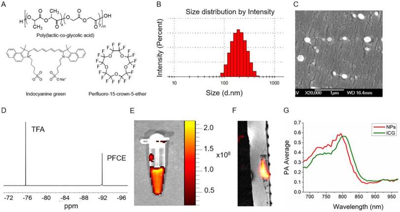 Nanotheranostics Image