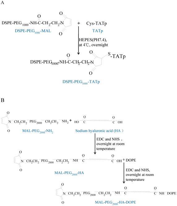 Nanotheranostics Image