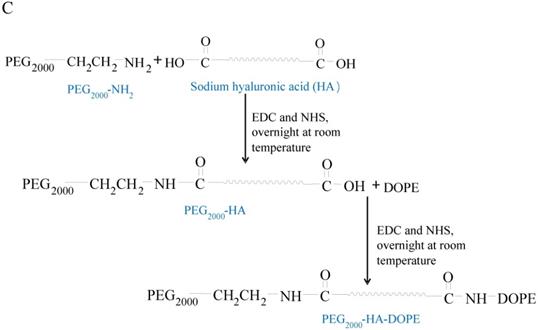 Nanotheranostics Image